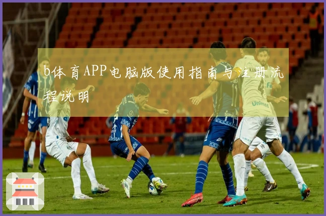 b体育APP电脑版使用指南与注册流程说明