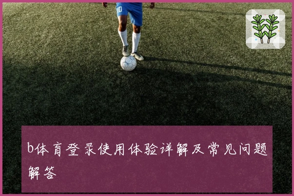 b体育登录使用体验详解及常见问题解答