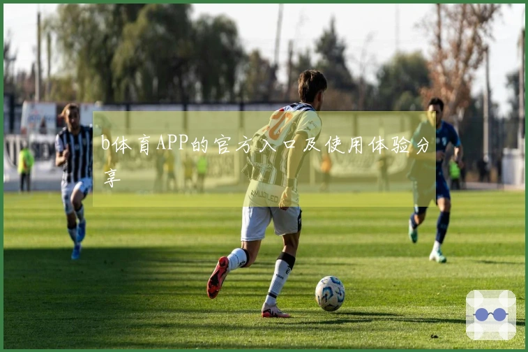 b体育APP的官方入口及使用体验分享