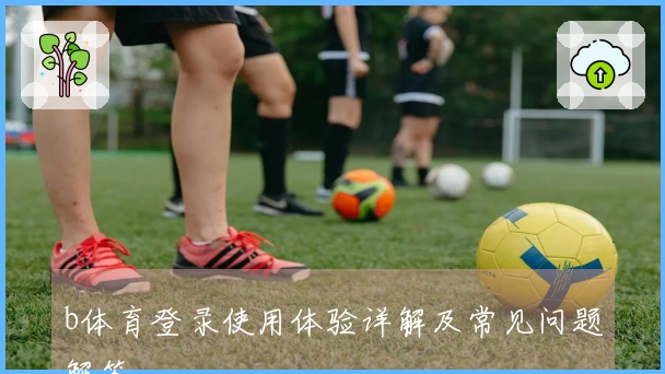 b体育登录使用体验详解及常见问题解答