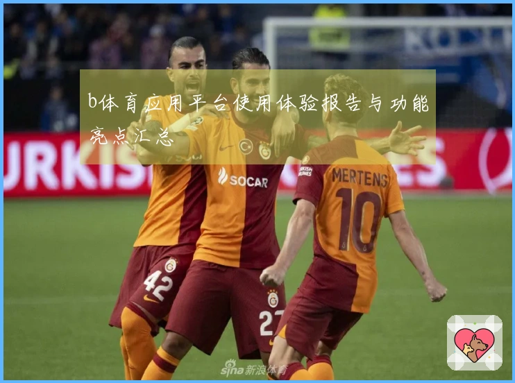b体育应用平台使用体验报告与功能亮点汇总